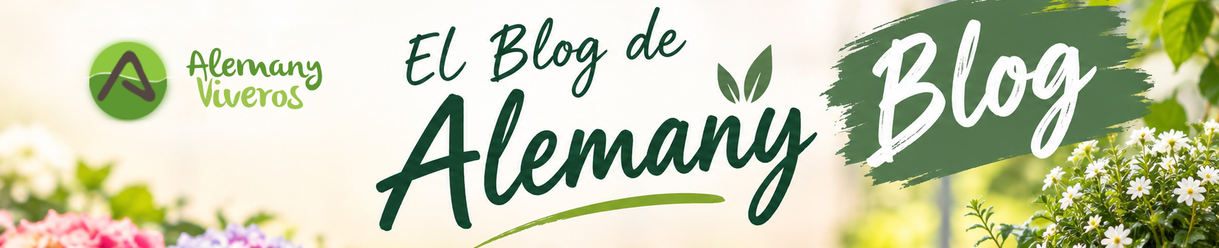 Imagen Blog Alemany Viveros