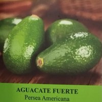 etiqueta de aguacate fuerte 2